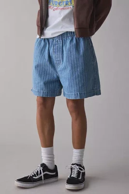 BDG Pinstripe Denim Volley Short