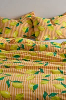 Lemon Graphic Stripe Patterned Duvet Cover Set