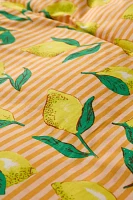 Lemon Graphic Stripe Patterned Duvet Cover Set