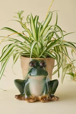 Sculpted Frog Ceramic Planter