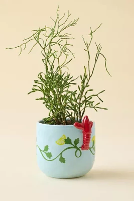 Peeking Lobster Ceramic Planter