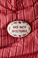 Do Not Disturb Cross Stitch Throw Pillow