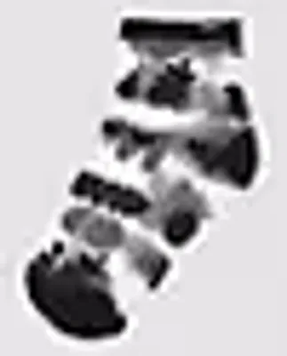 Ditsy Half Crew Sock Size 6.5-10