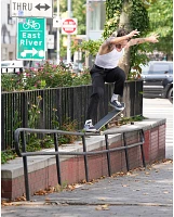 Skate Old Skool Elijah Berle Shoe