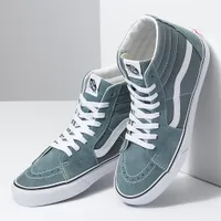 Sk8-Hi Shoe