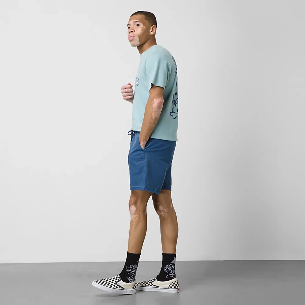 vans range shorts