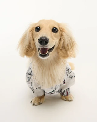 A&F Pet Flannel