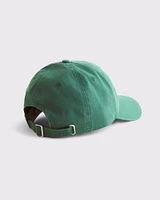 Graphic Baseball Hat