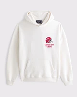 San Francisco 49ers Graphic Popover Hoodie