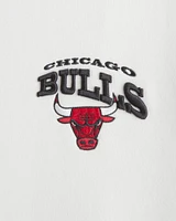 Chicago Bulls Graphic Popover Hoodie