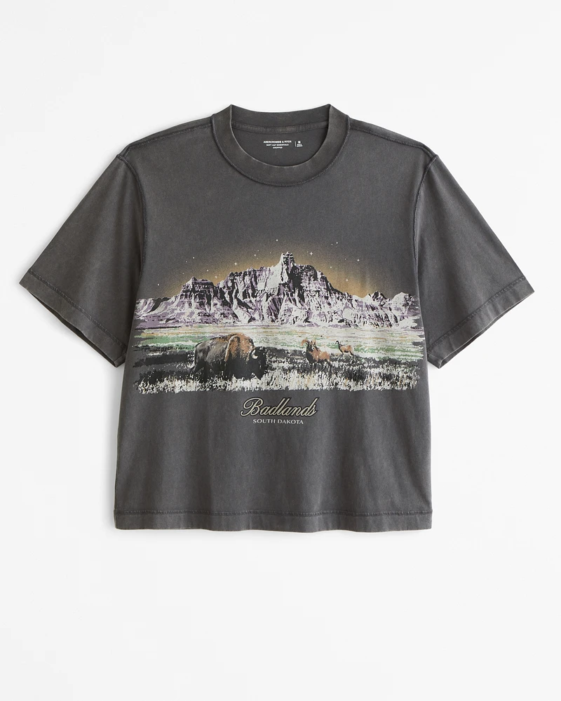 Cropped Badlands Graphic Tee