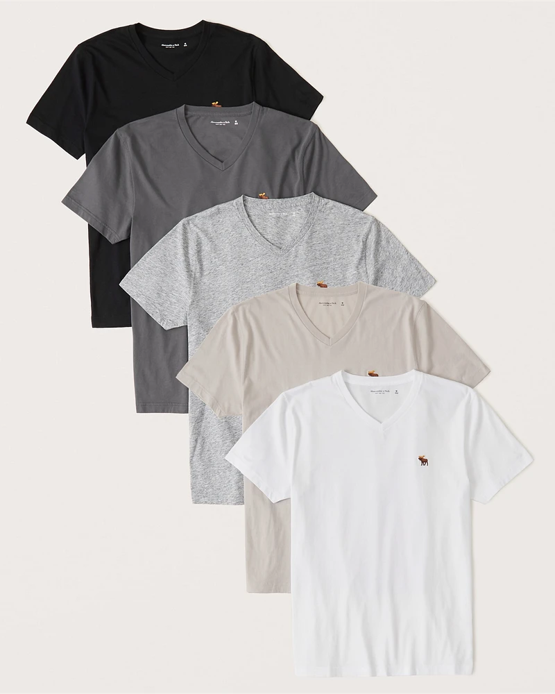 5-Pack Icon V-Neck Tees