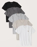 5-Pack Icon V-Neck Tees