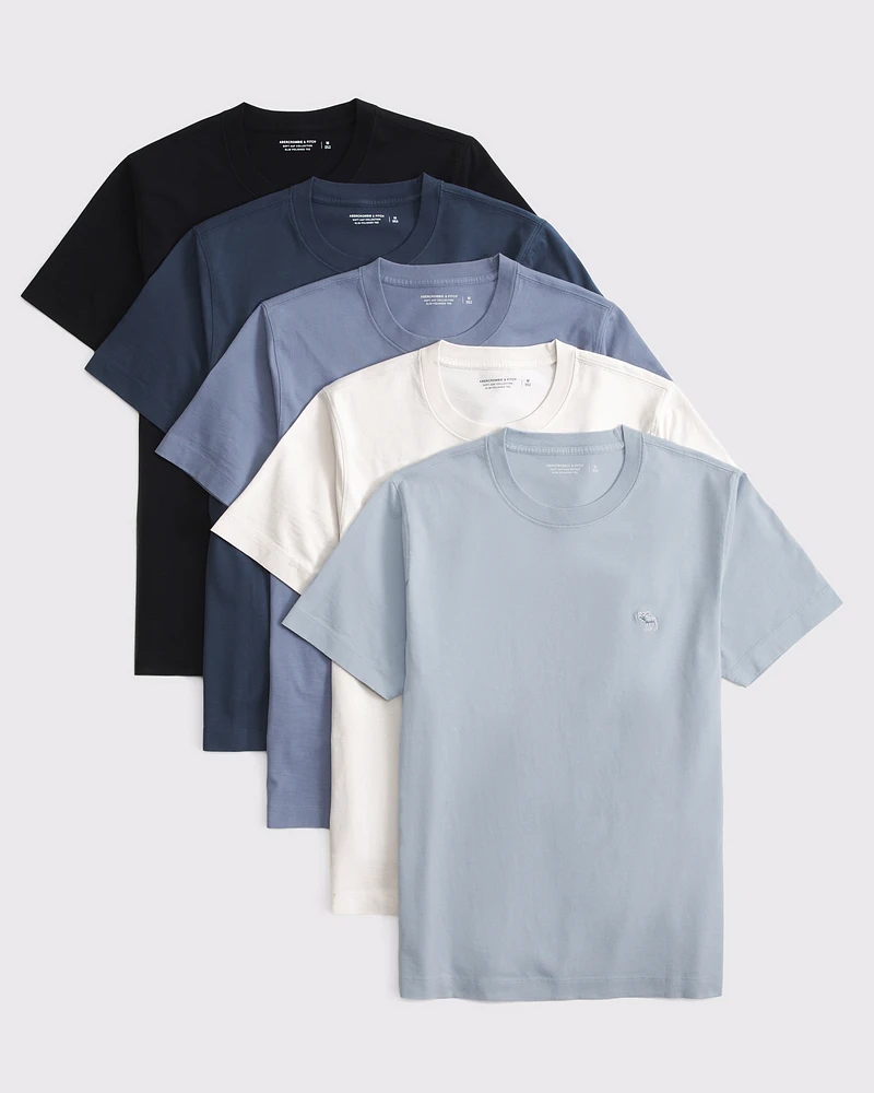 5-Pack Polished Tonal Icon Tees
