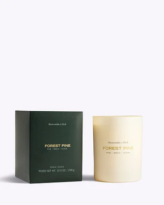 Forest Pine Holiday Candle