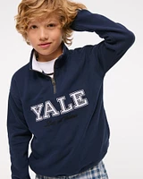 harvard university quarter-zip