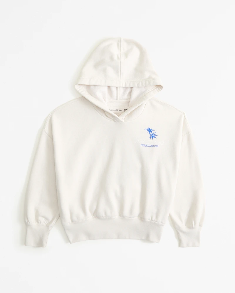 graphic logo popover hoodie