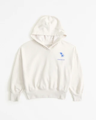 graphic logo popover hoodie