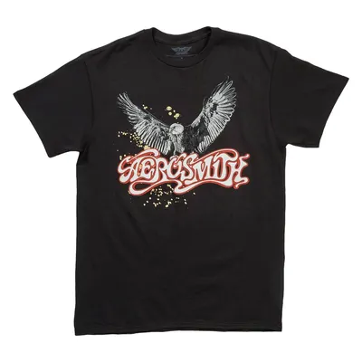 Young Mens Short Sleeve Aerosmith Graphic Short Sleeve Tee