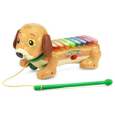 VTech Zoo Jamz Doggy Xylophone