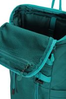 Favia 20L Daypack