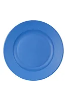 Camping Plate