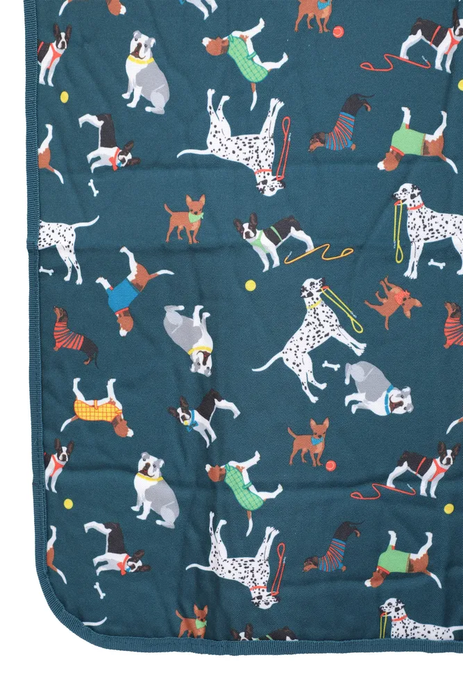 Picnic Mat - Patterned