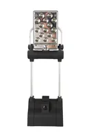 30 LED Swivel Lantern