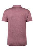 Mens Agra Stripe Polo
