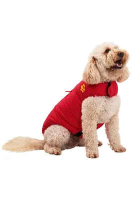Insulated Water-Resistant Dog Jacket - Medium