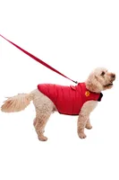 Insulated Water-Resistant Dog Jacket - Medium