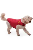 Insulated Water-Resistant Dog Jacket - Medium