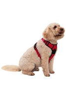 Dog Reflective Padded Harness - Small 