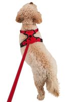 Dog Reflective Padded Harness - Small 