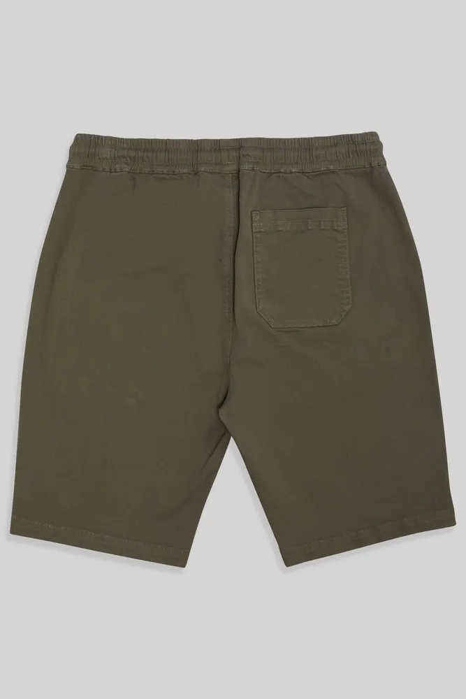 Dillon Mens Shorts