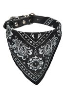 Collar With Bandana