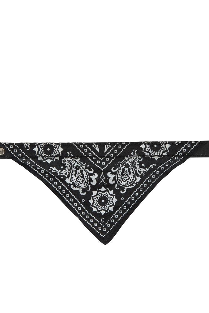 Collar With Bandana