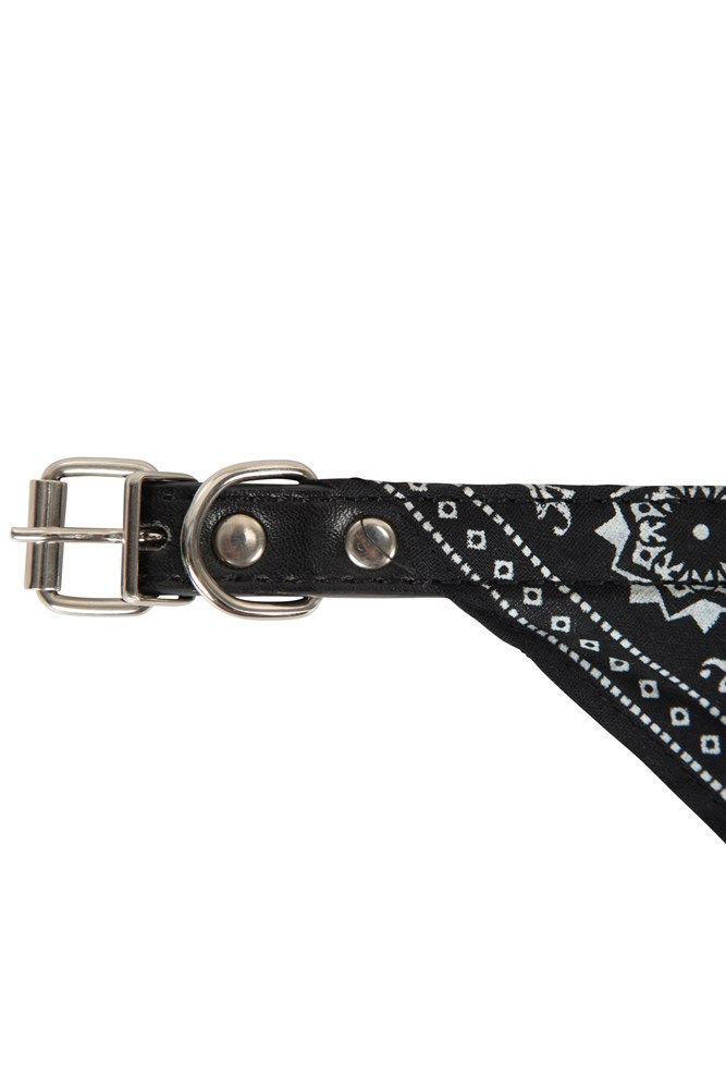 Collar With Bandana