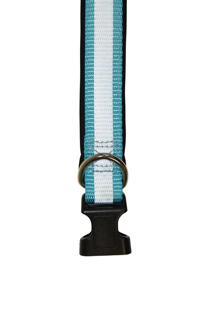 Reflective Dog Collar