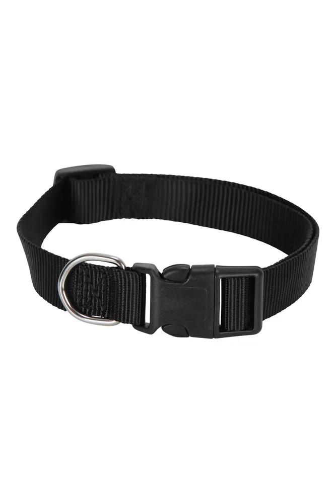 Pet Collar