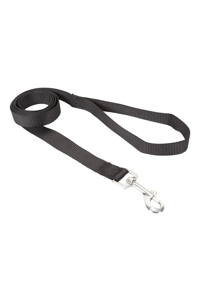 Pet Leash