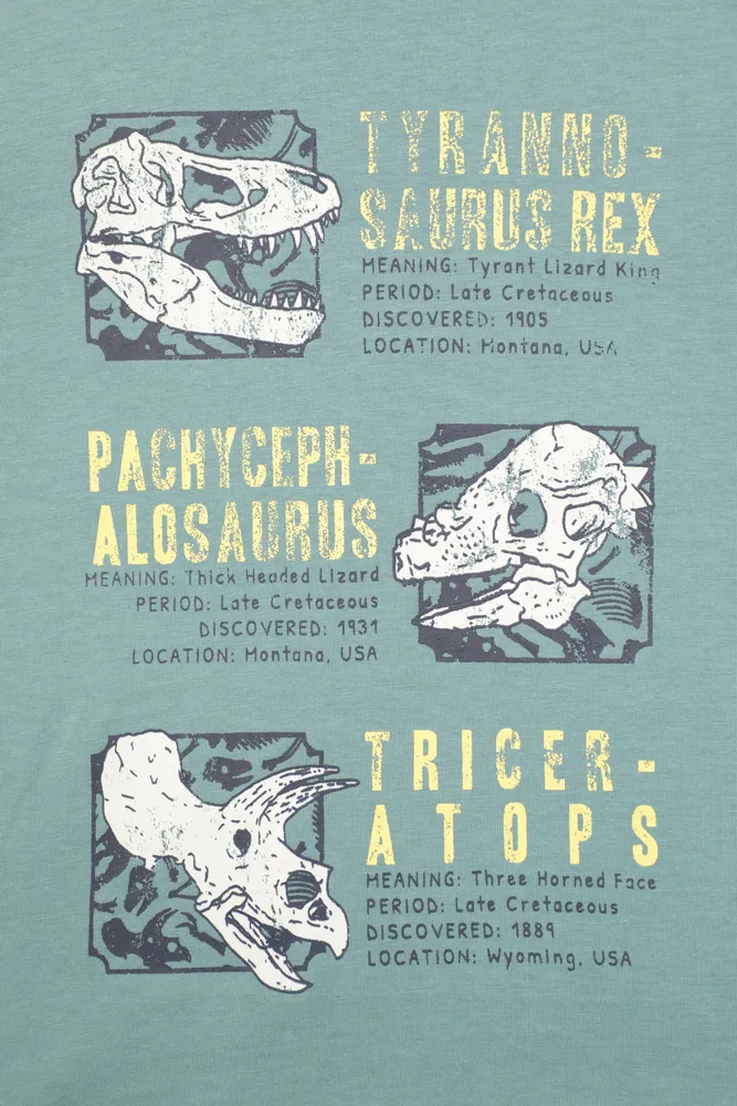 Dino Facts Kids Long Sleeve Top