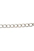 Pet Chain Lead