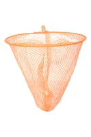 Extendable Long Handle Fishing Net