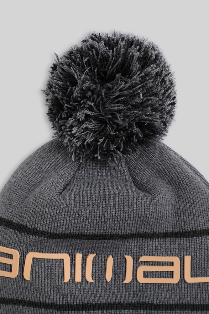 Dylan Ski Pom Beanie