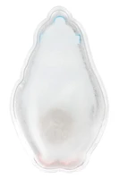 Penguin Reusable Hand Warmer
