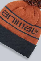 Briggs Recycled Ski Pom Beanie