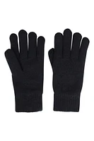 Thinsulate Fleece Lined Womens Hat & Glove Set