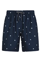 Aruba Mens Swim Shorts Multipack
