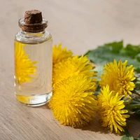 Nature's Answer Dandelion Root Extract